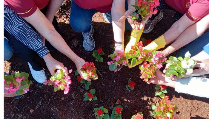 Rios de Cascavel recebem flores e árvores, limpeza e revitalização